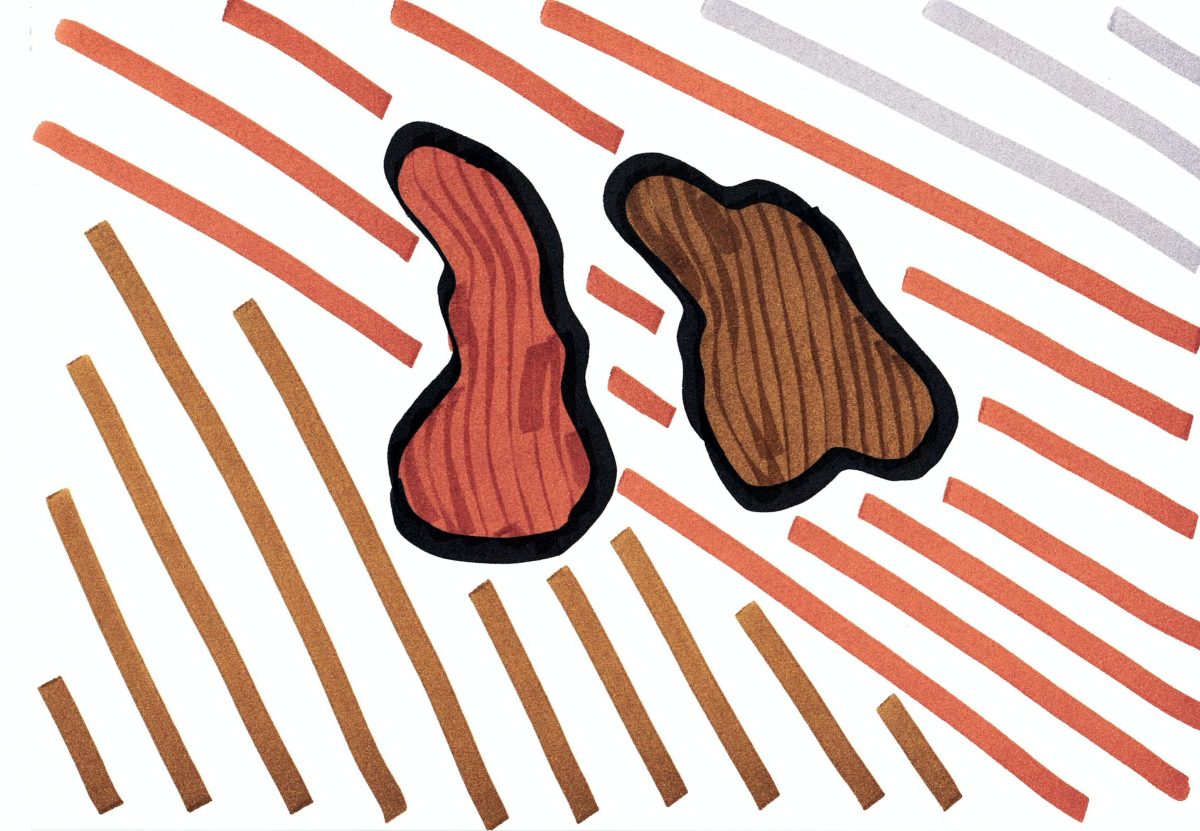 からだあそびレシピ – ちいさな地球のおまじない